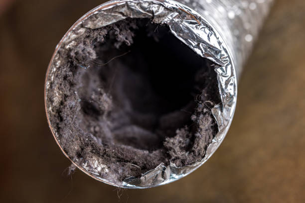 Best HVAC System Cleaning  in Bel Air, MD